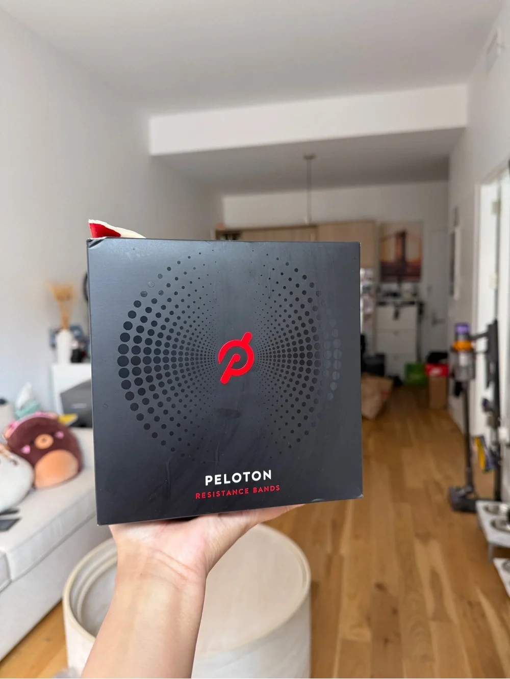 Peloton Resistance Bands Box - Black